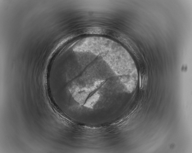 X0000097920531200804111142