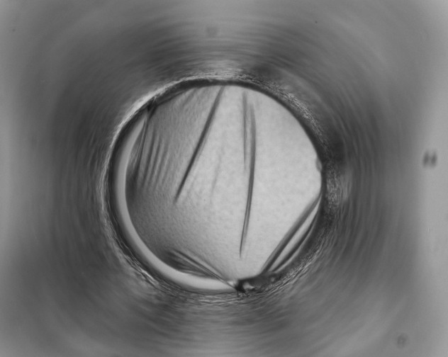 X0000097920532200804111142