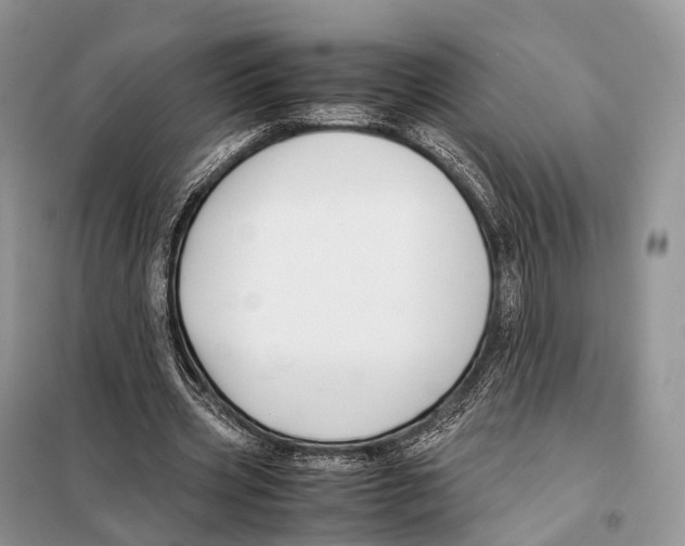 X0000097920533200804111142