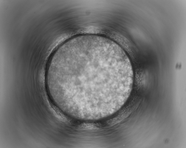 X0000097920534200804111142