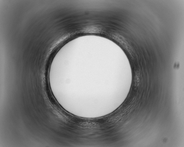 X0000097920535200804111142