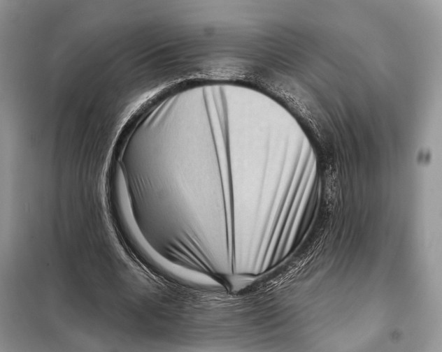 X0000097920536200804111142