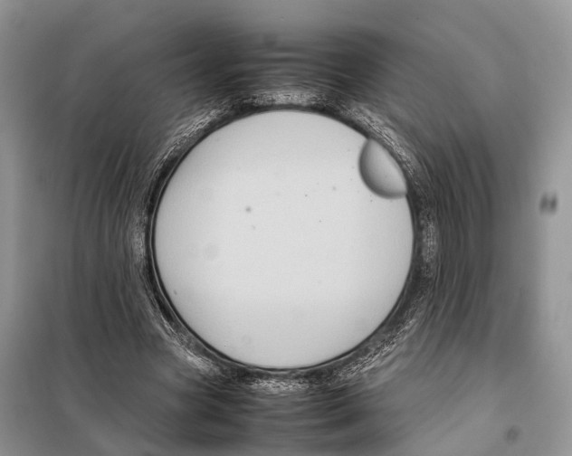 X0000097920537200804111142