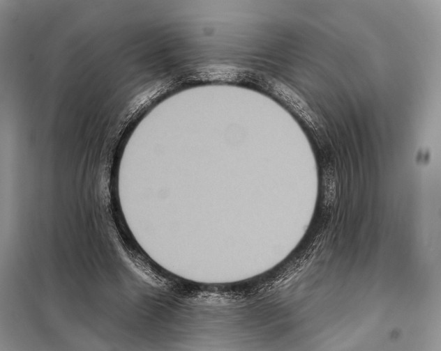 X0000097920538200804111142