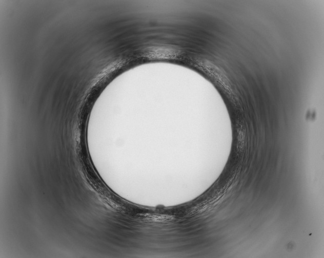 X0000097920539200804111142