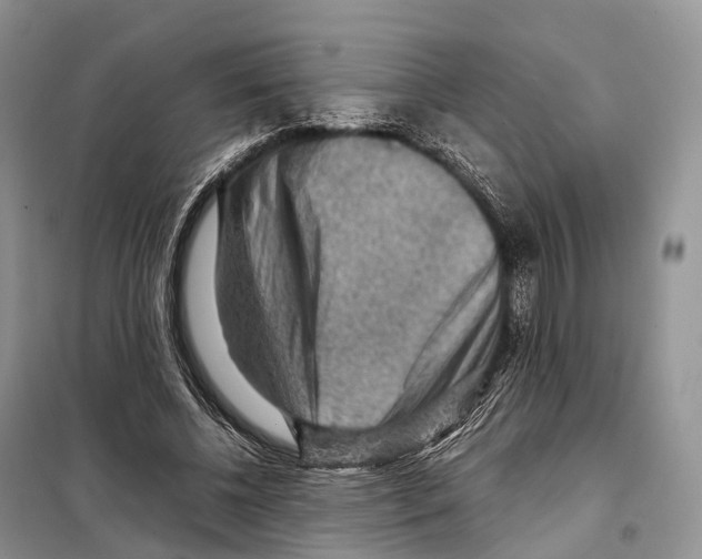 X0000097920540200804111142