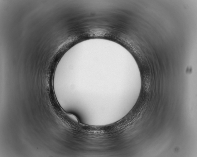 X0000097920543200804111142