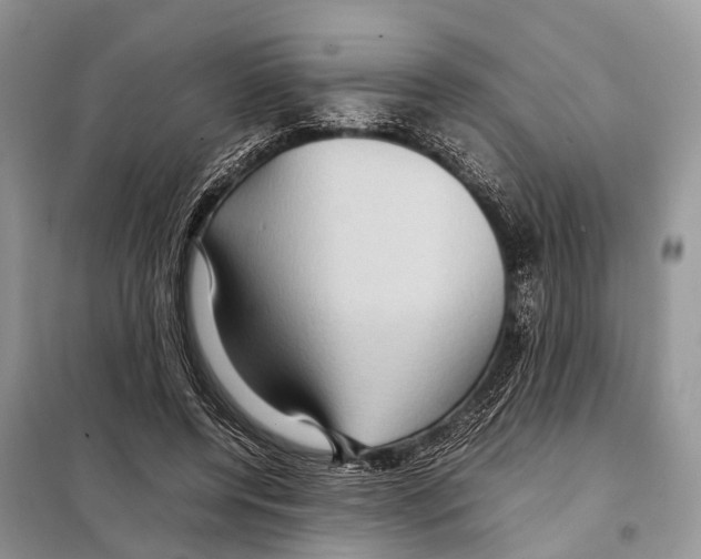 X0000097920544200804111142