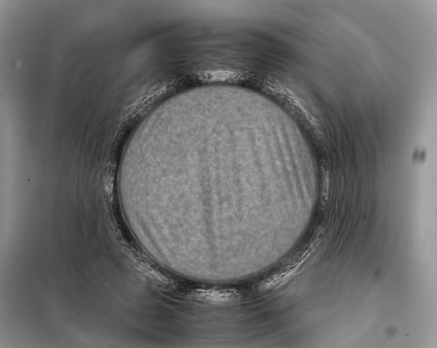 X0000097920545200804111142