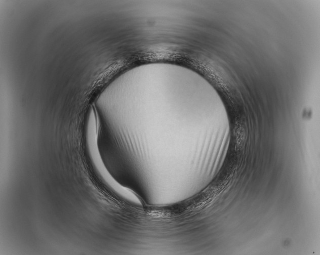 X0000097920546200804111142