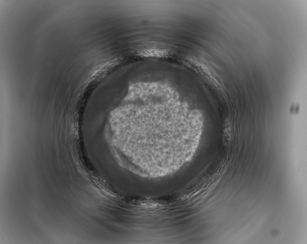 X0000097920547200804111142