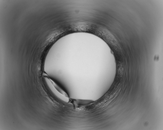 X0000097920548200804111142