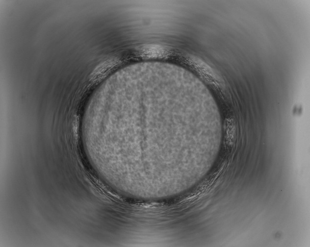 X0000097920550200804111142