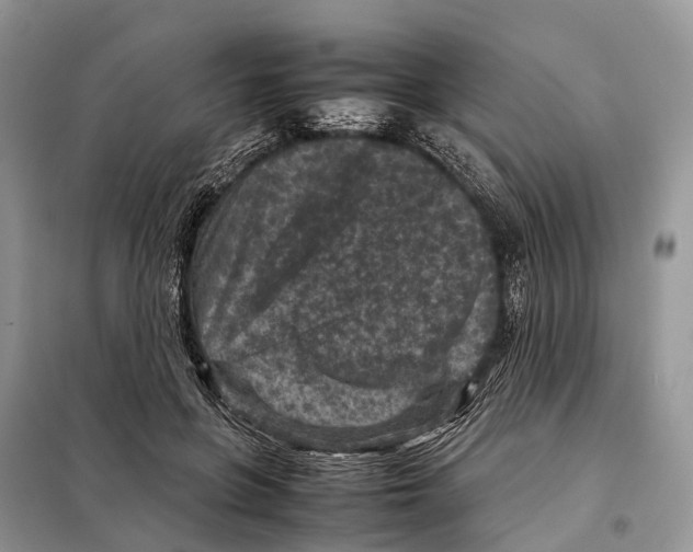 X0000097920551200804111142