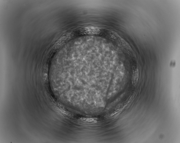 X0000097920553200804111143