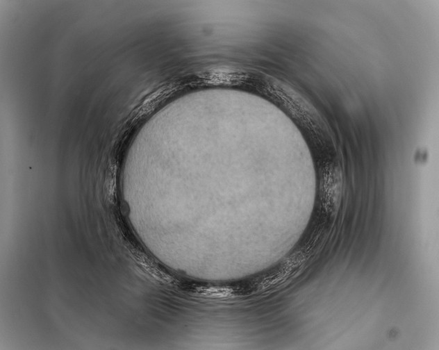 X0000097920554200804111143