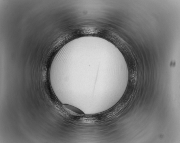 X0000097920556200804111143