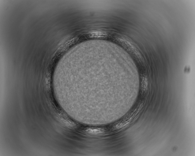 X0000097920557200804111143