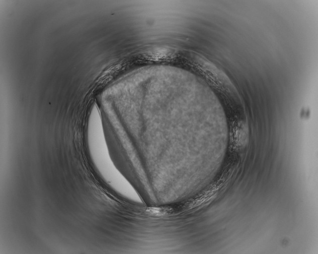 X0000097920558200804111143