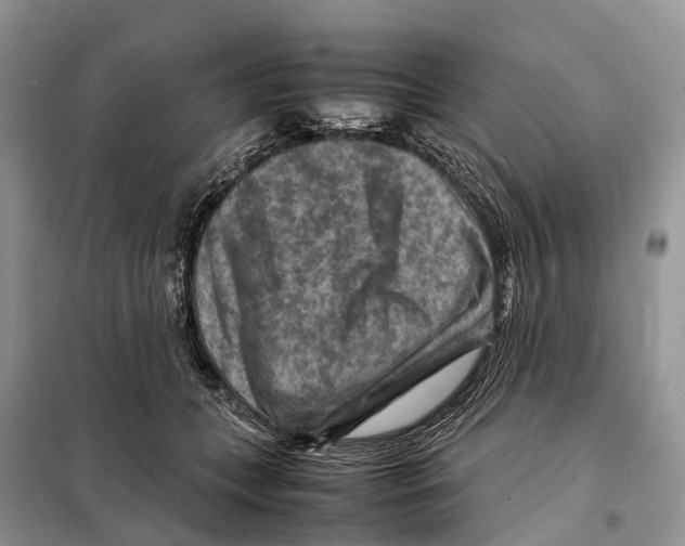 X0000097920559200804111143