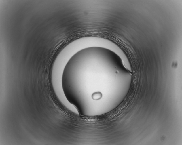 X0000097920560200804111143