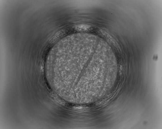 X0000097920561200804111143