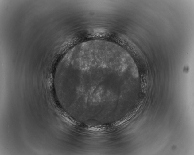 X0000097920563200804111143