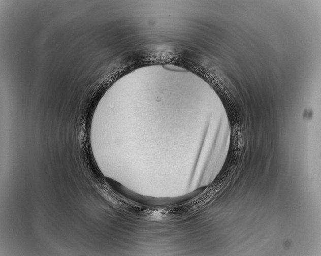 X0000097920564200804111143