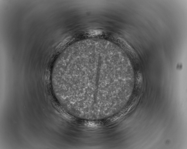 X0000097920565200804111143