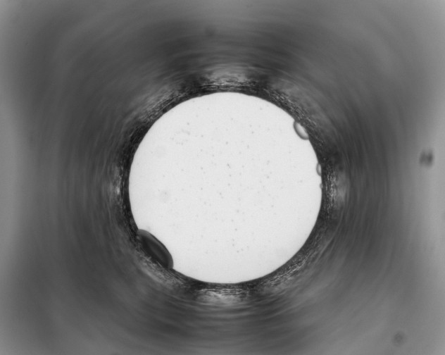 X0000097920567200804111143