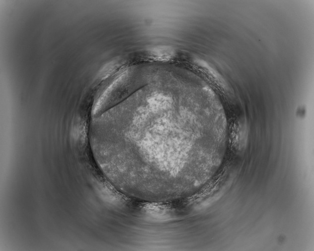 X0000097920568200804111143