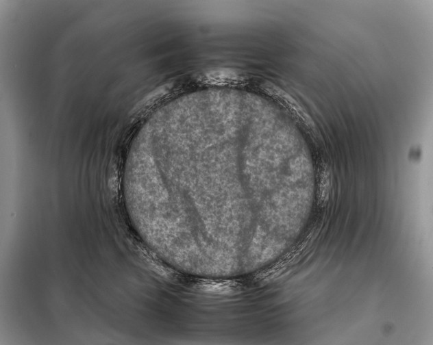 X0000097920569200804111143