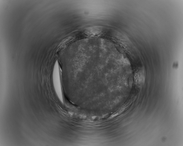 X0000097920570200804111143