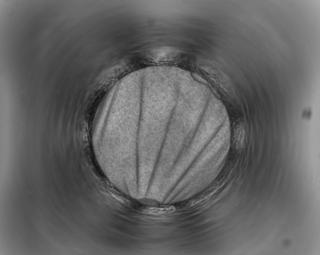 X0000097920571200804111143