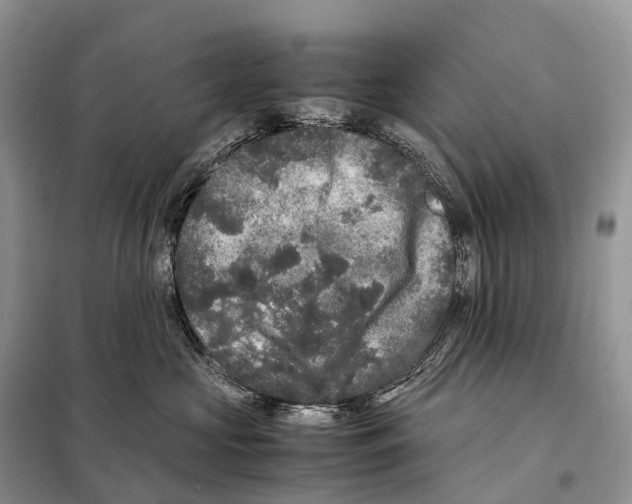 X0000097920573200804111143