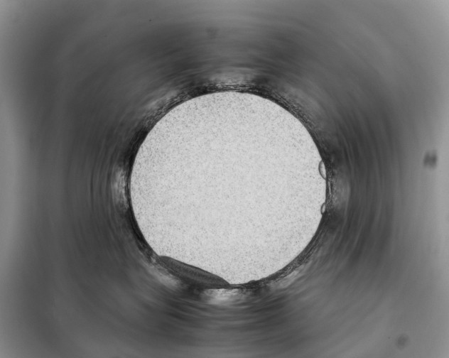 X0000097920575200804111143