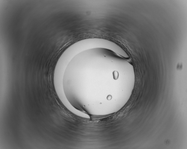 X0000097920576200804111143