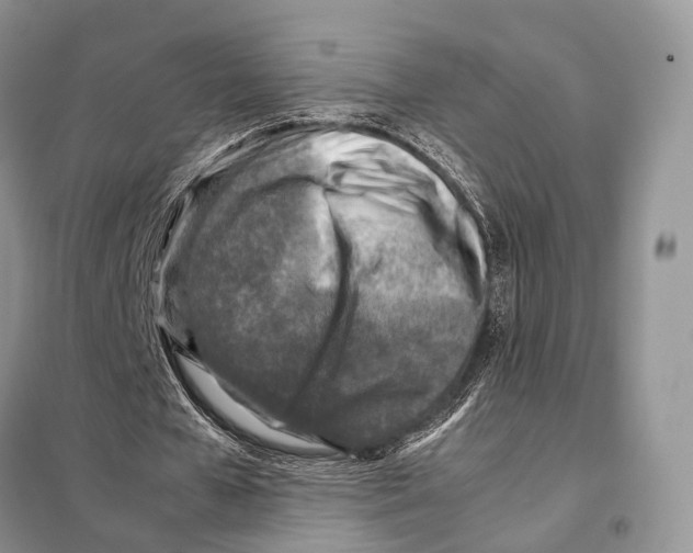 X0000097920577200804111142