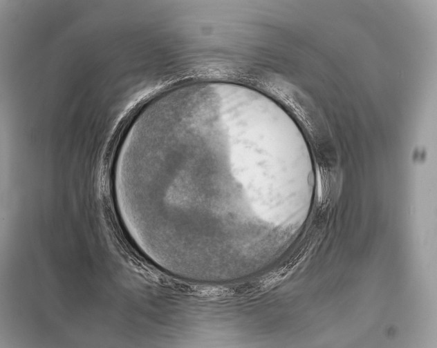 X0000097920579200804111142