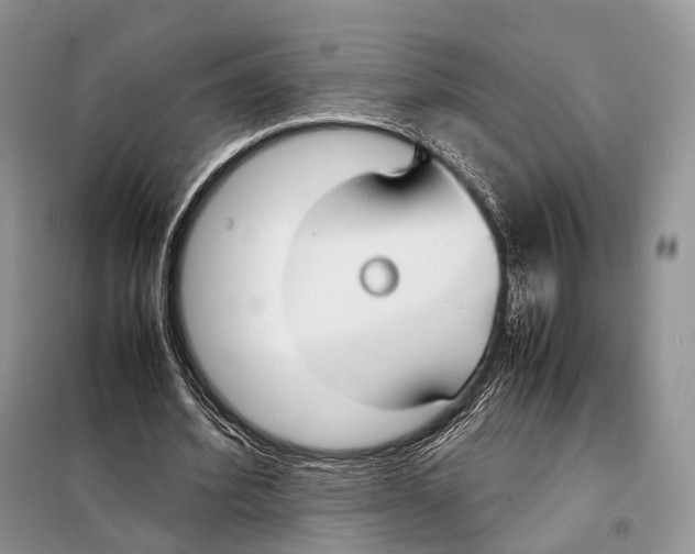 X0000097920580200804111142