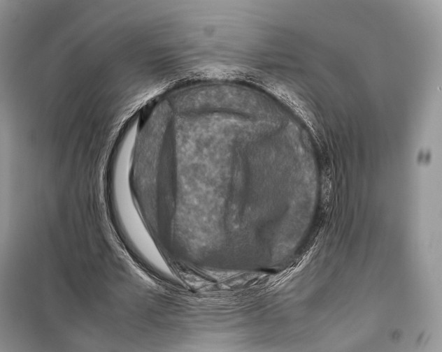 X0000097920581200804111142