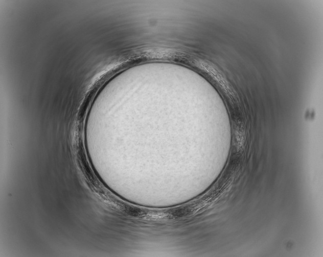 X0000097920583200804111142