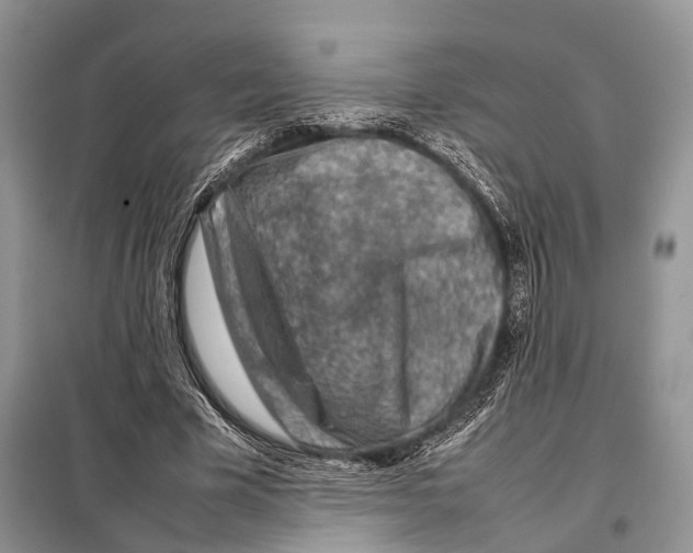 X0000097920585200804111142