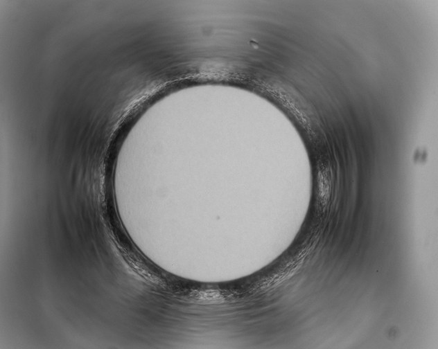 X0000097920588200804111142