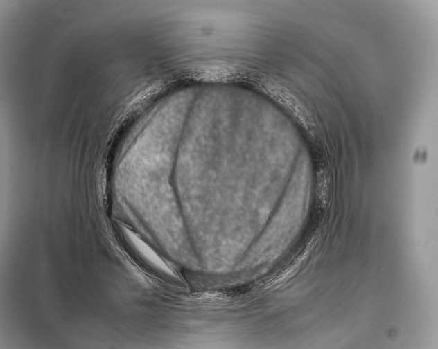 X0000097920589200804111142