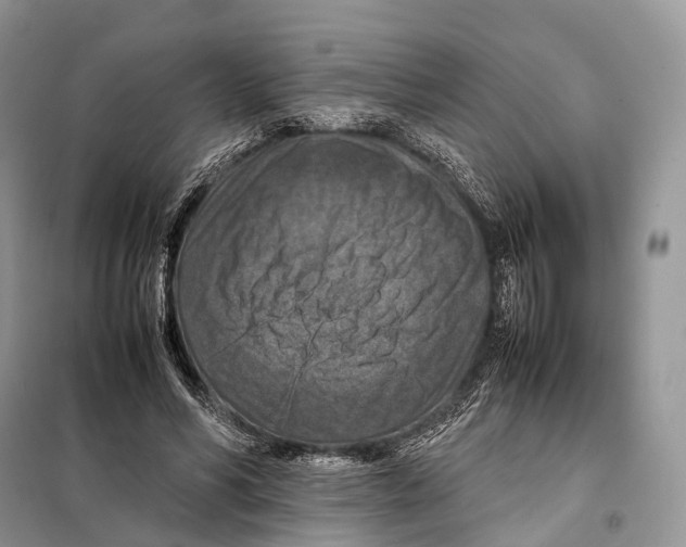 X0000097920590200804111142