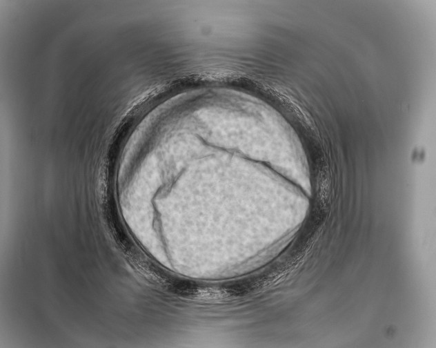 X0000097920591200804111142