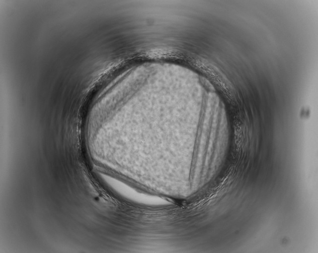 X0000097920592200804111142