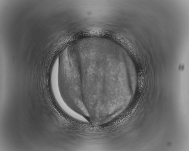 X0000097920593200804111142