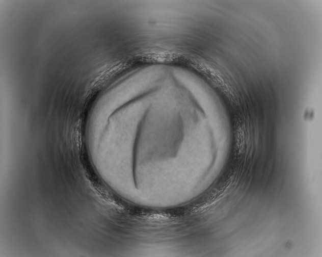 X0000097920594200804111142